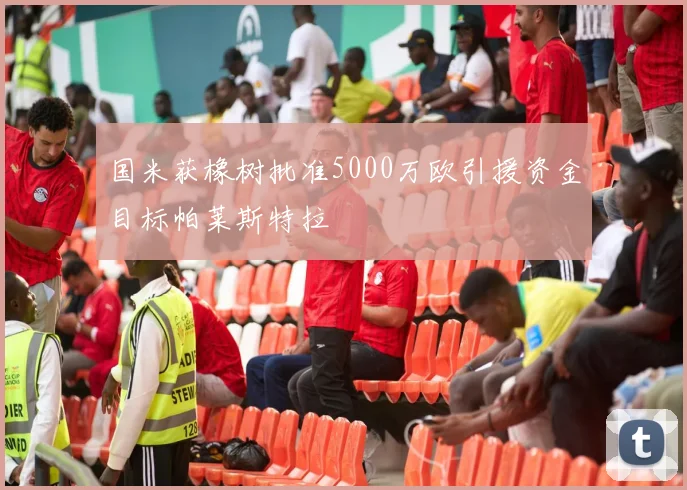 国米获橡树批准5000万欧引援资金目标帕莱斯特拉