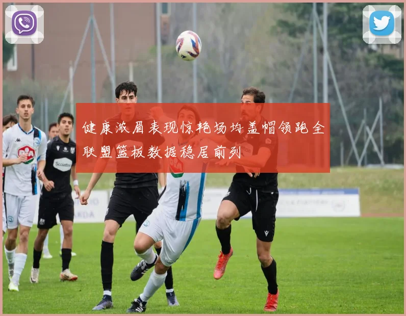 健康浓眉表现惊艳场均盖帽领跑全联盟篮板数据稳居前列
